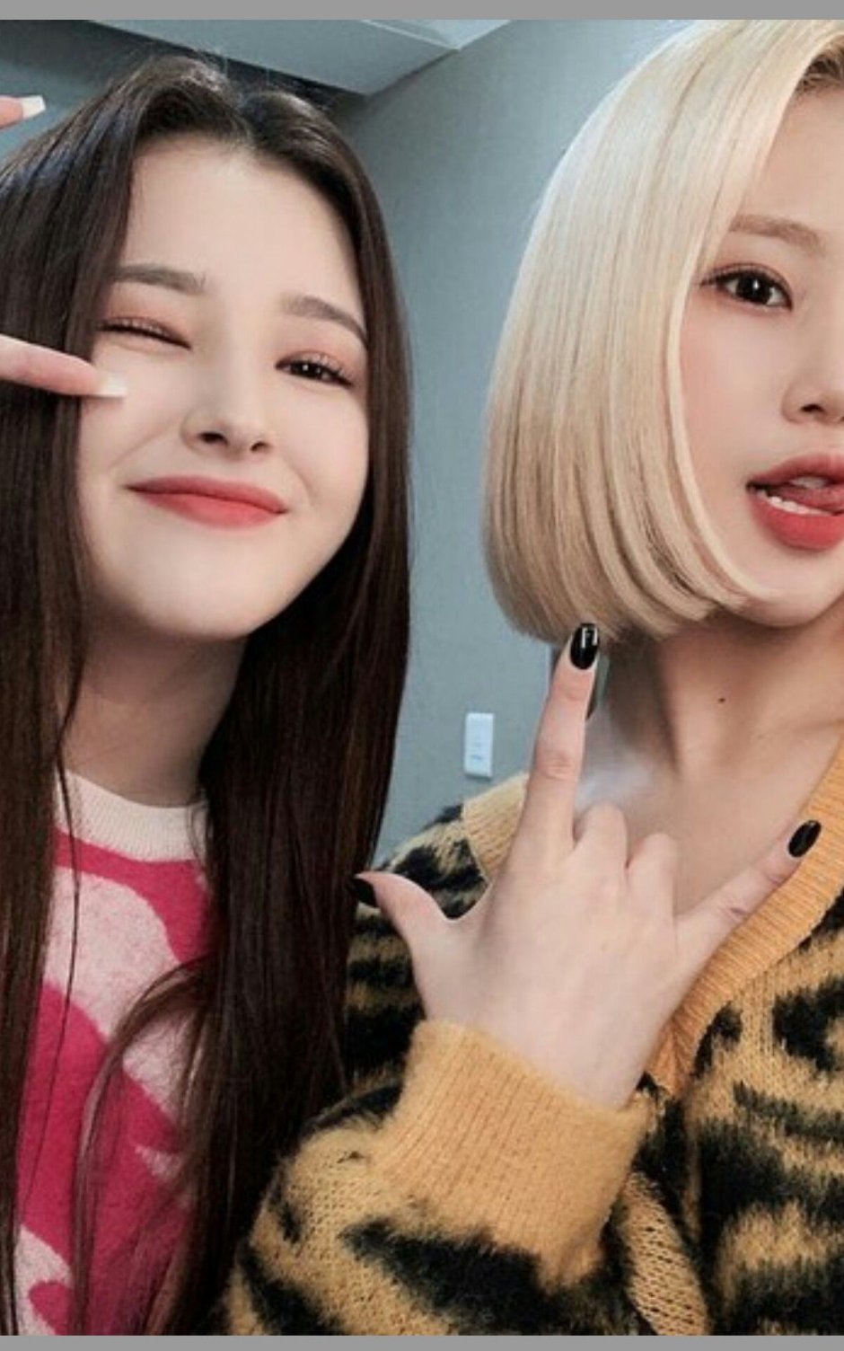 MOMOLAND group participants