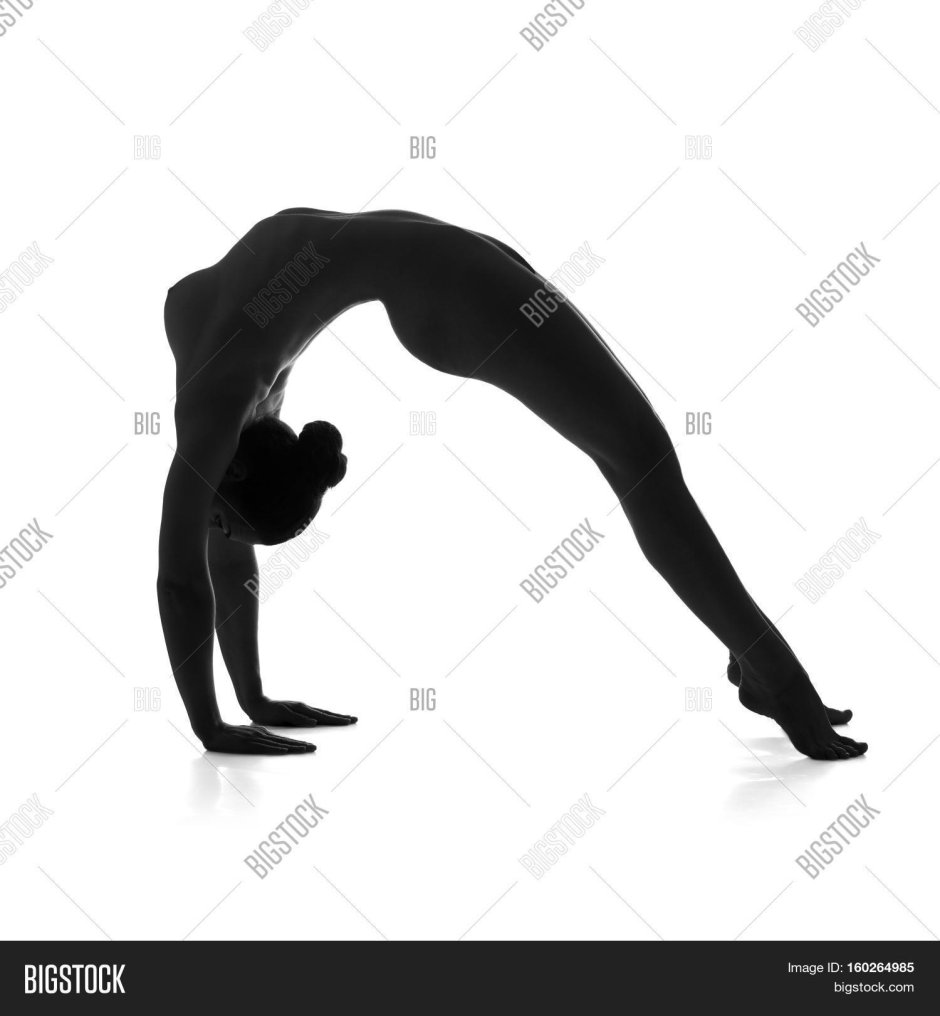 Naked yoga nude from behind art