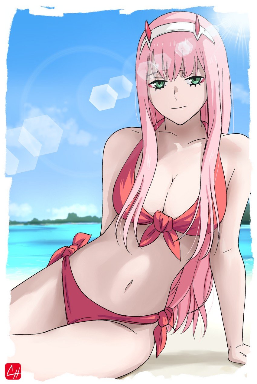 Darling in the Franxx Zero Two tights