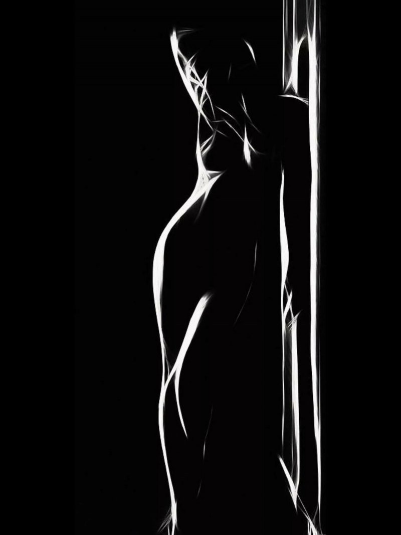 The silhouette of the female body
