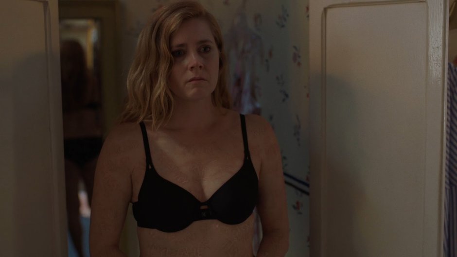 Amy Adams scam in American