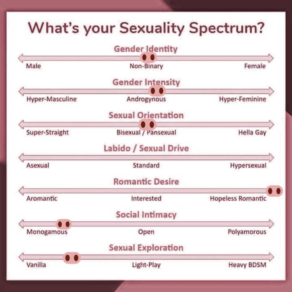 What Your Sexuality Spectrum