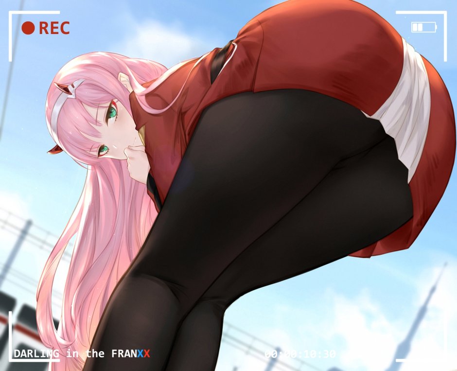 Zero Two Pantsu