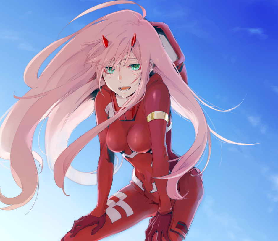 Zero Two Cosplay 18h