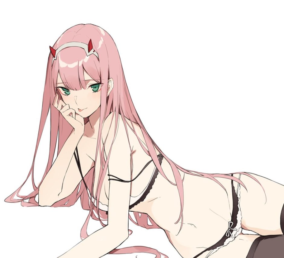 Zero Two Echchi