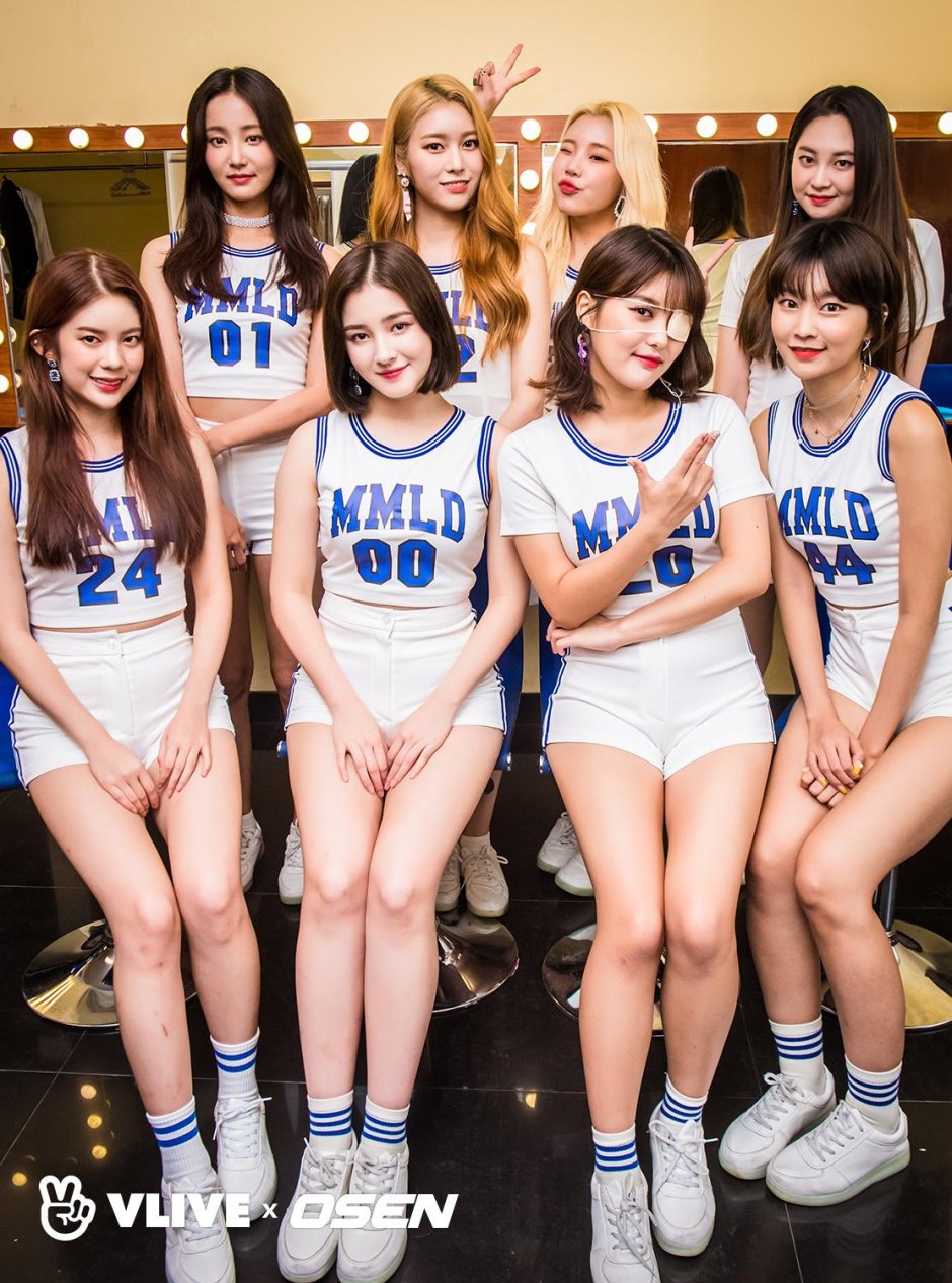 Participants in Momoland 2020