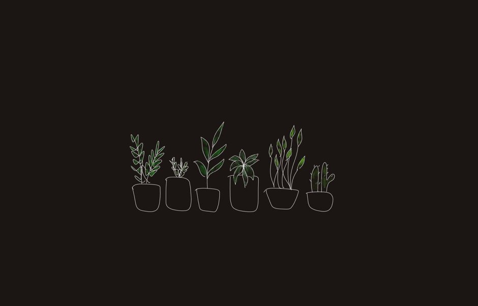 Minimalism of aesthetics