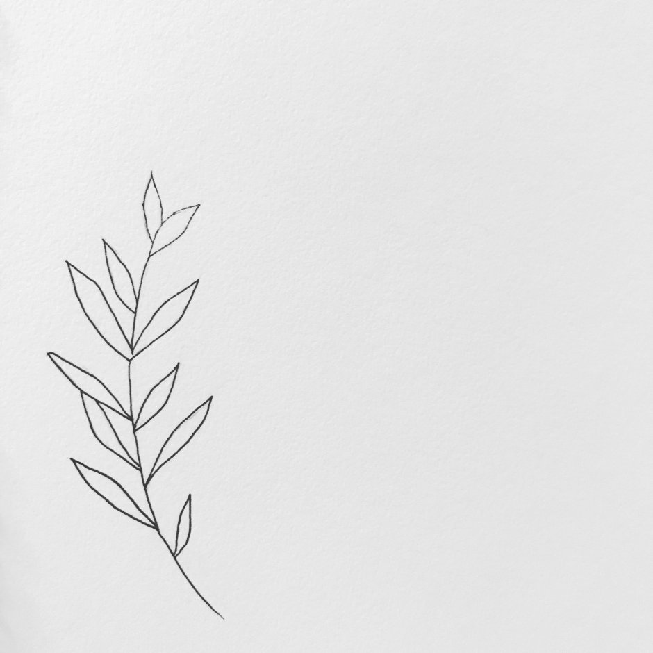A twig of minimalism