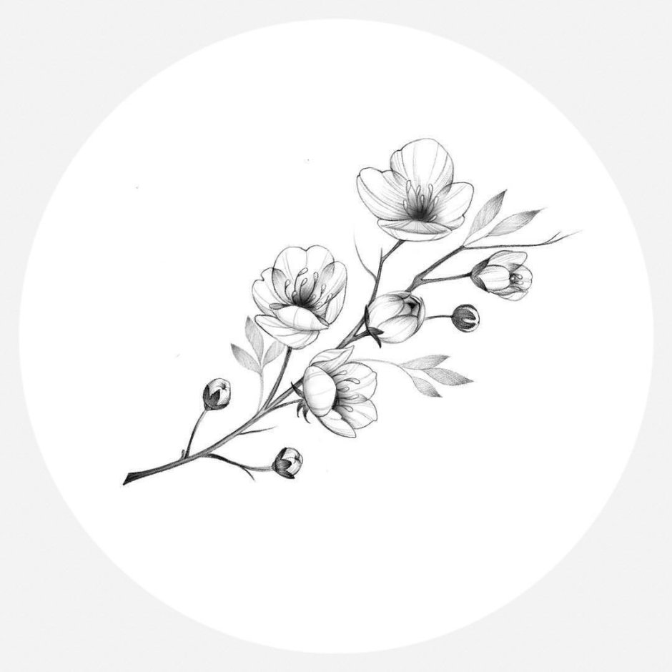 Flower branch tattoo sketch