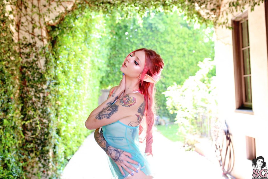 CATKITTY21 Online