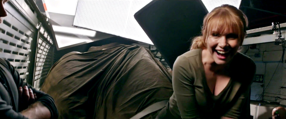 Bryce Dallas Howard Feet