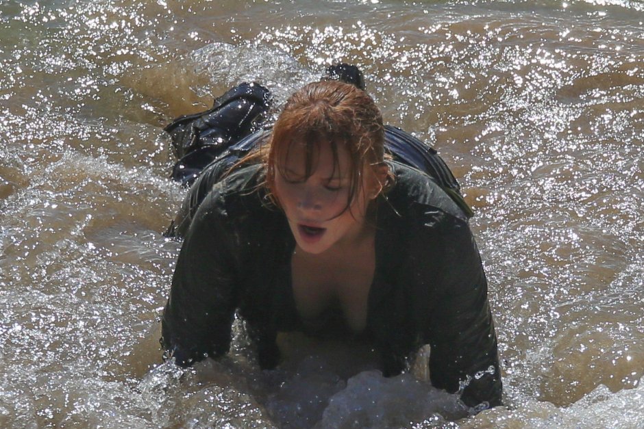 Bryce Dallas Howard Black Mirror