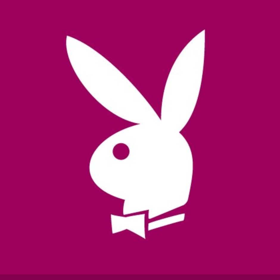 Rabbit with playboy