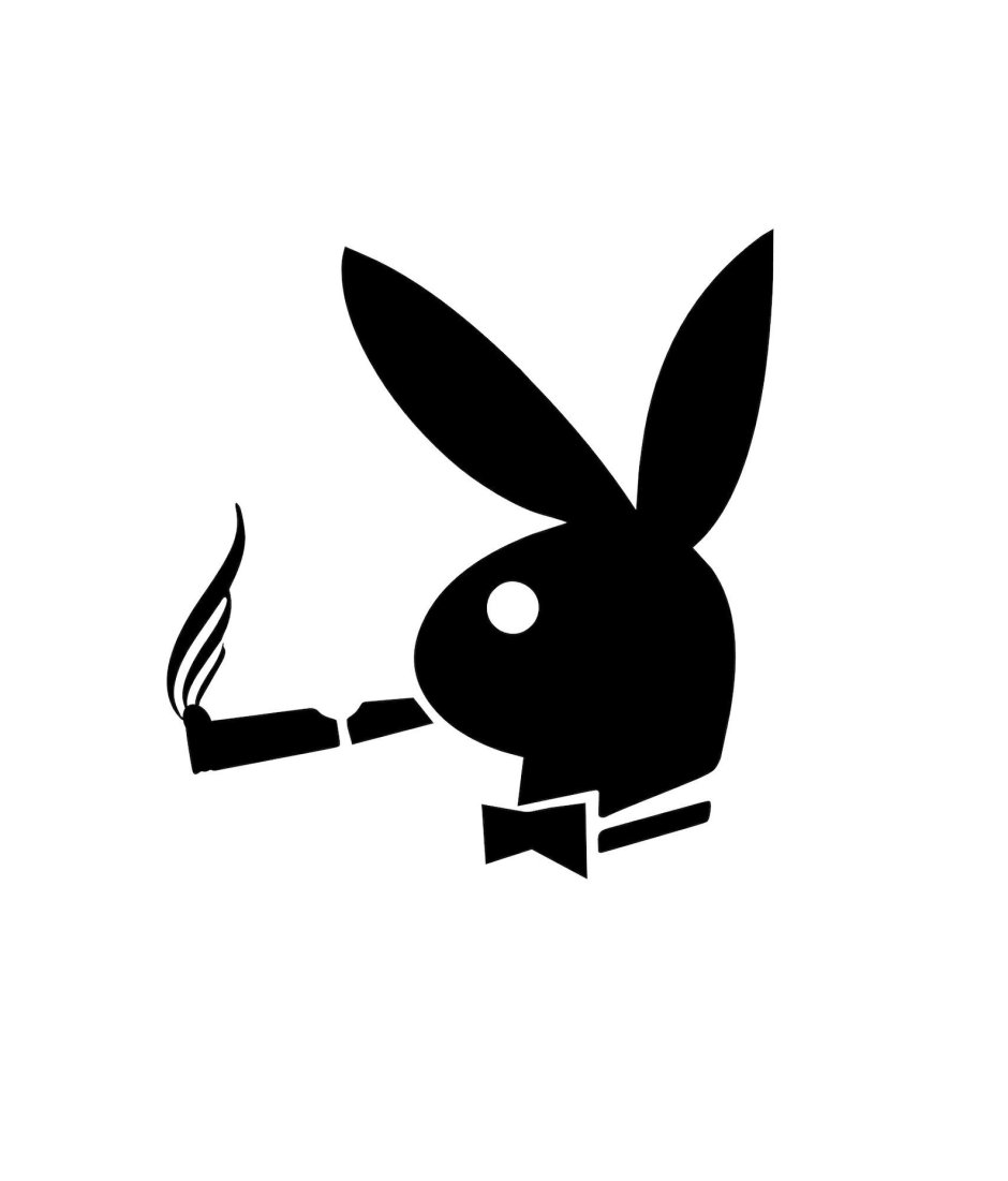 Rabbit with playboy