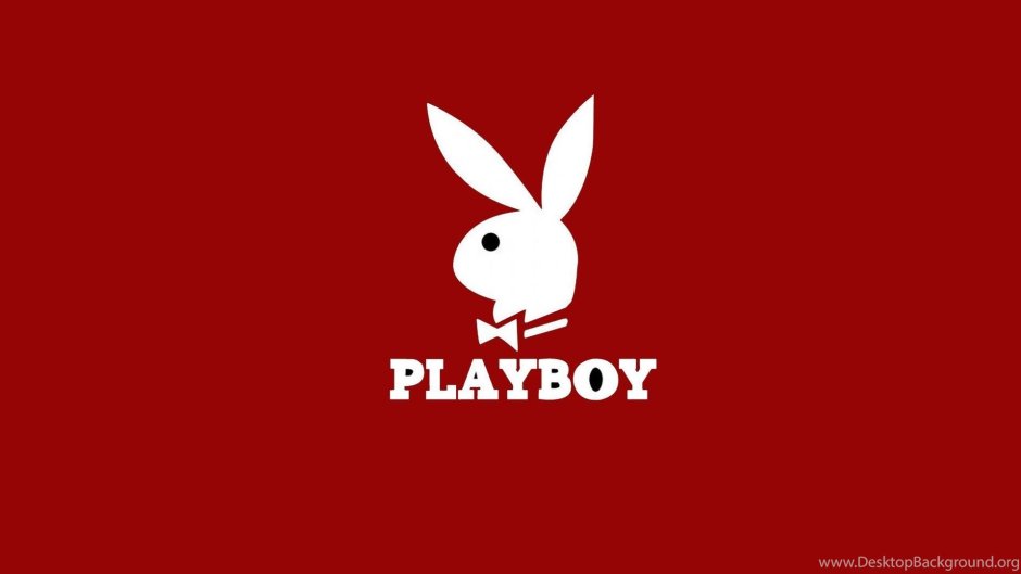 Hare on the red background