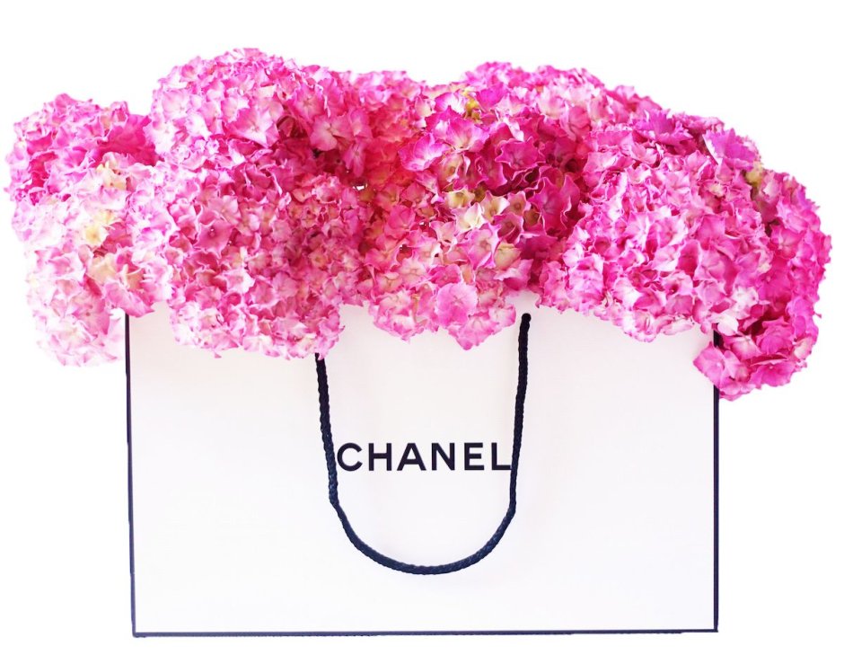 Coco Chanel Autograph