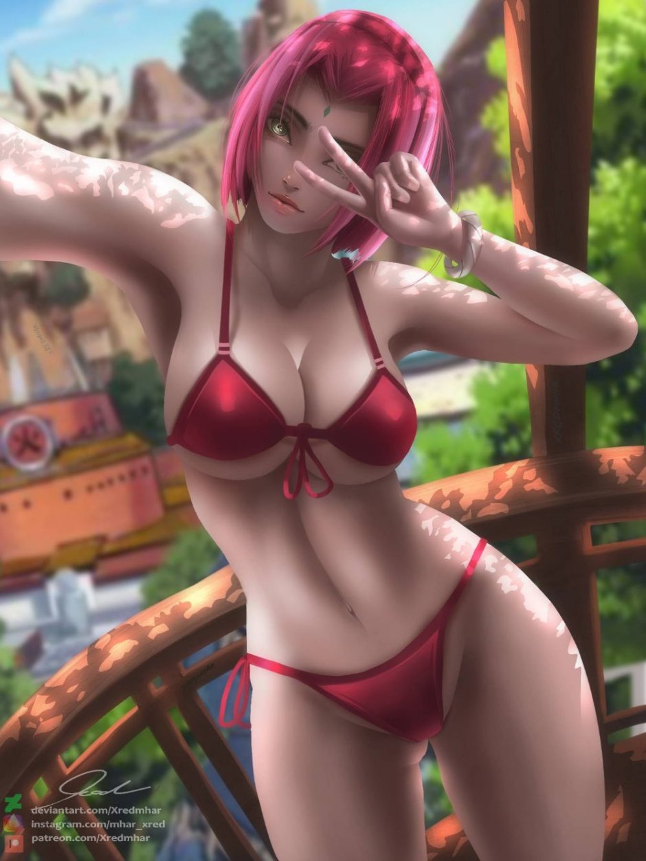 Street Fighter Ryu and Sakura