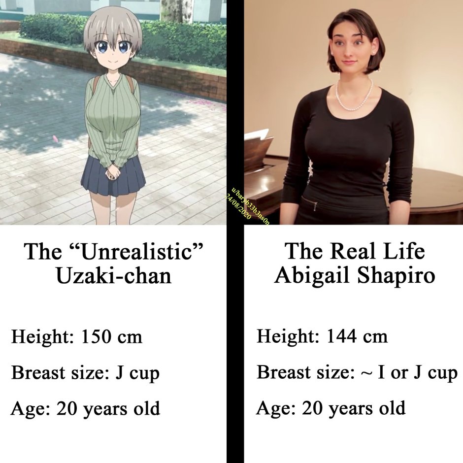 Abigel Shapiro