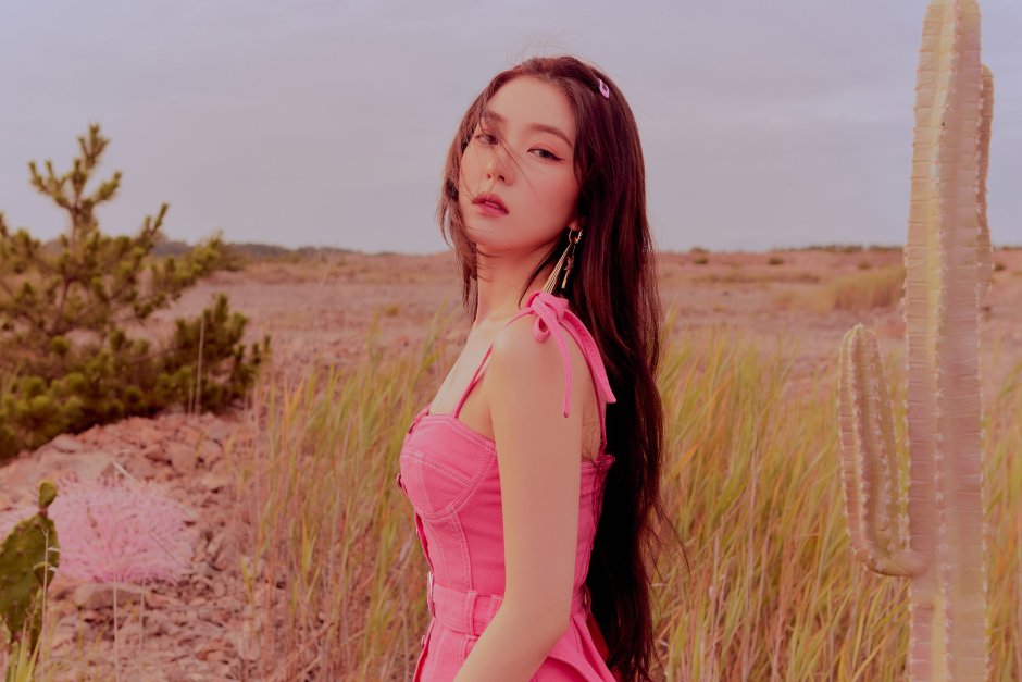 Red Velvet Sylgi 2020