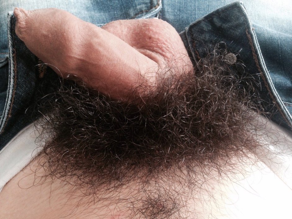 Naked hairy young guys