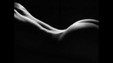 The beauty of female body nude