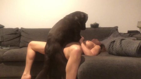 Porn actress Veronica Silesto zooskool