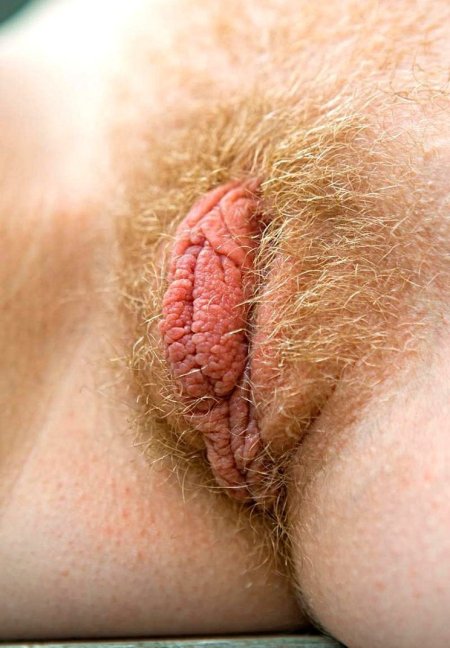 Hairy pussy close -up