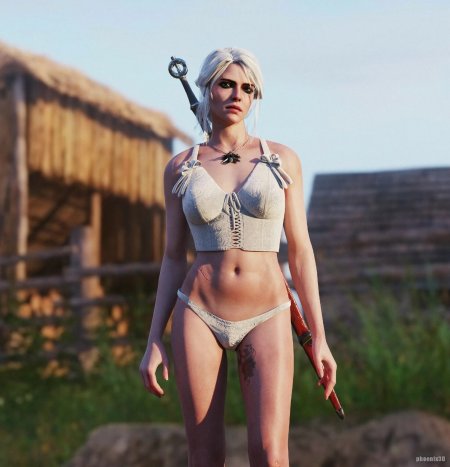 The Witcher 3 Ciri hentai dog