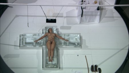 Naked beauty experiment