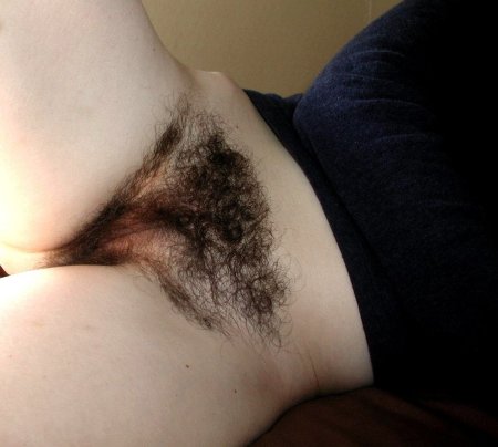 Hairy triangle between legs