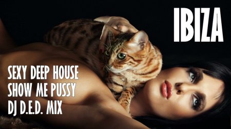 Girl with a cat erotic