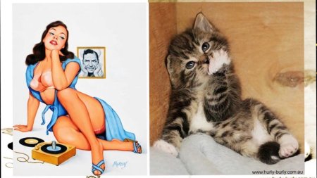 Caricatures in pin-up style