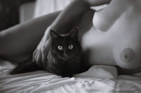 Naked women with cats
