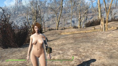 Fallout 4 erotic fashion