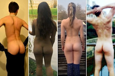 The best asses of Cambridge