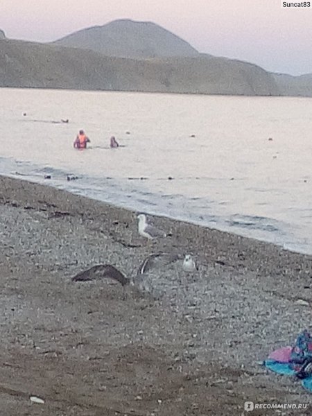 Family nudism Koktebel