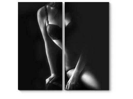 Erotic female silhouette