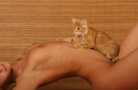Naked cat