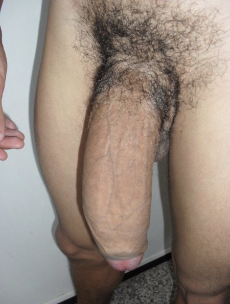 Hairy male genital organ