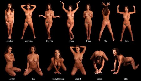 Naked women from different angles