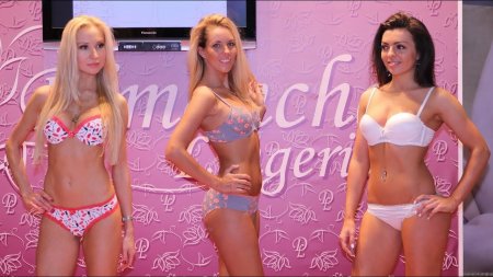 Lingerie fashion show