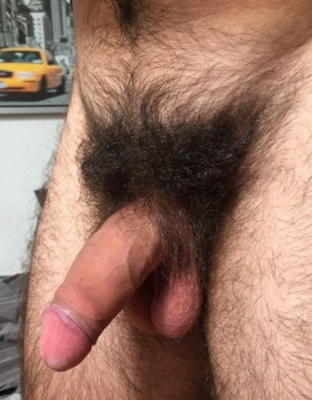 Beautiful hairy penis