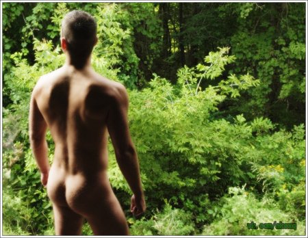 Naked young men in the forest