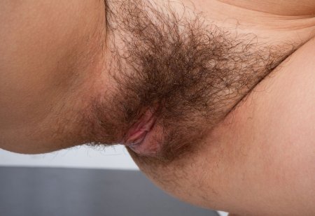 Beautiful hairy female pubis
