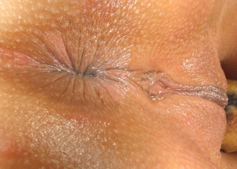 Wet anal close -up