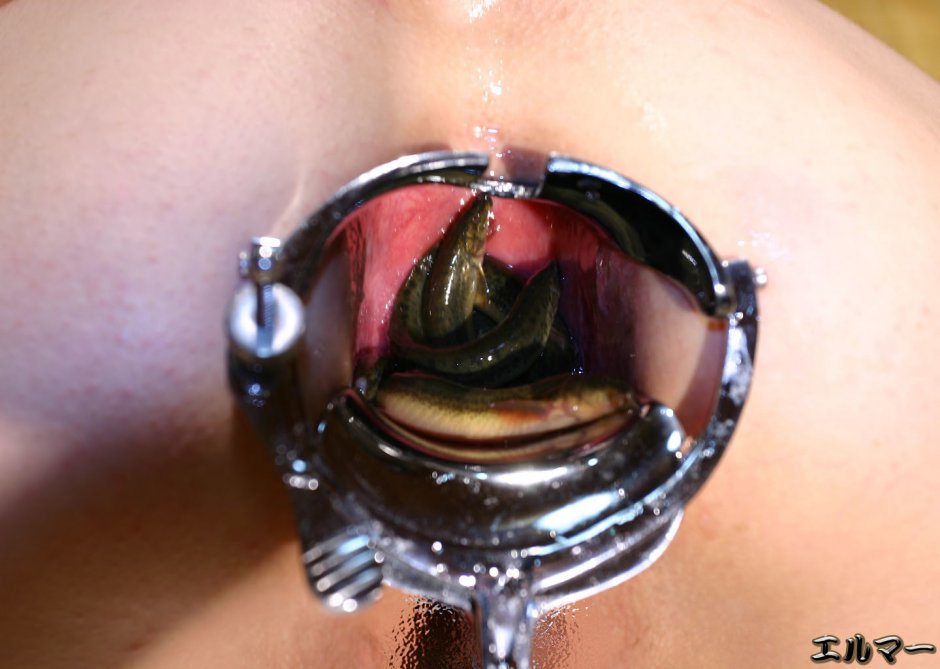 BDSM leech in the vagina