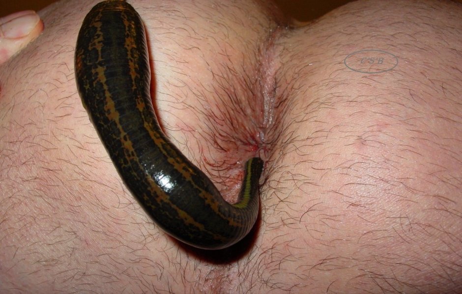Flows from the vagina of private