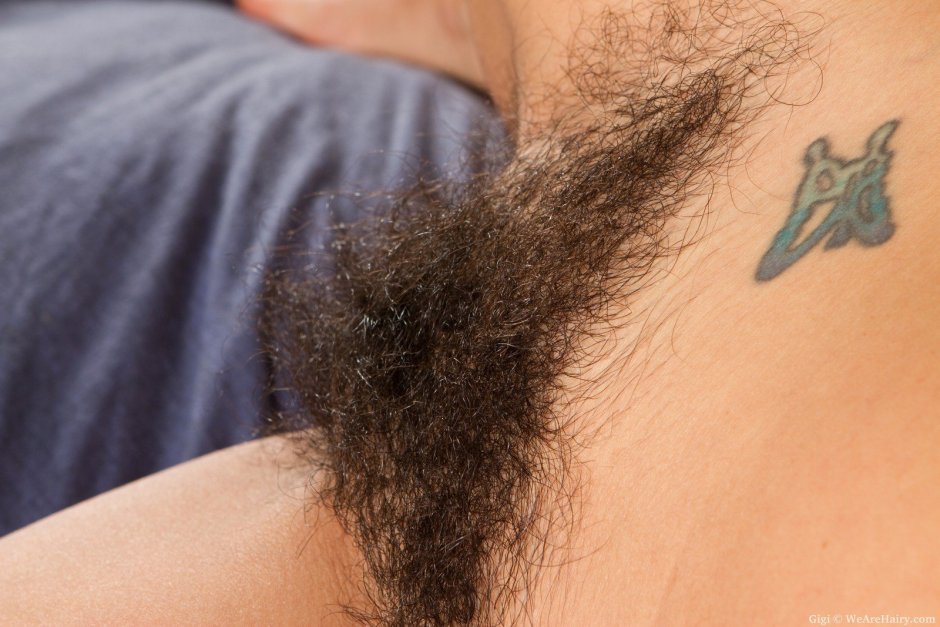 Hairy intimate hairstyle