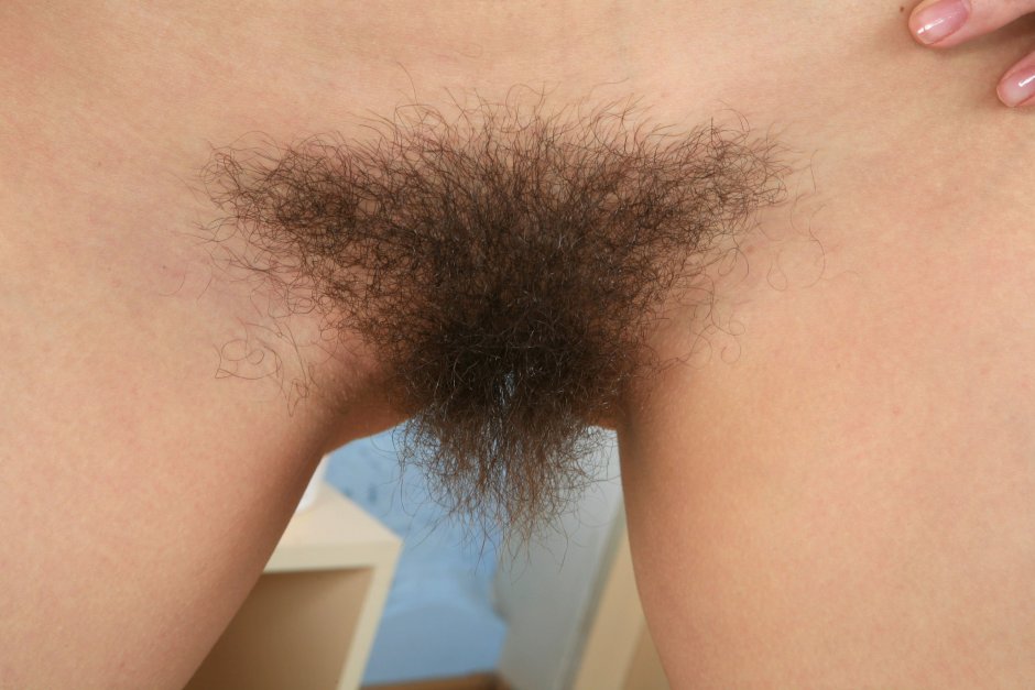 Little hair on the pubis