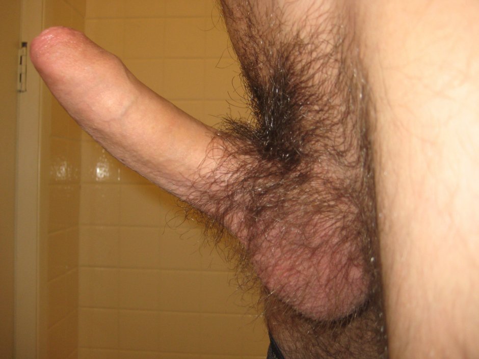 Hairy male pubis